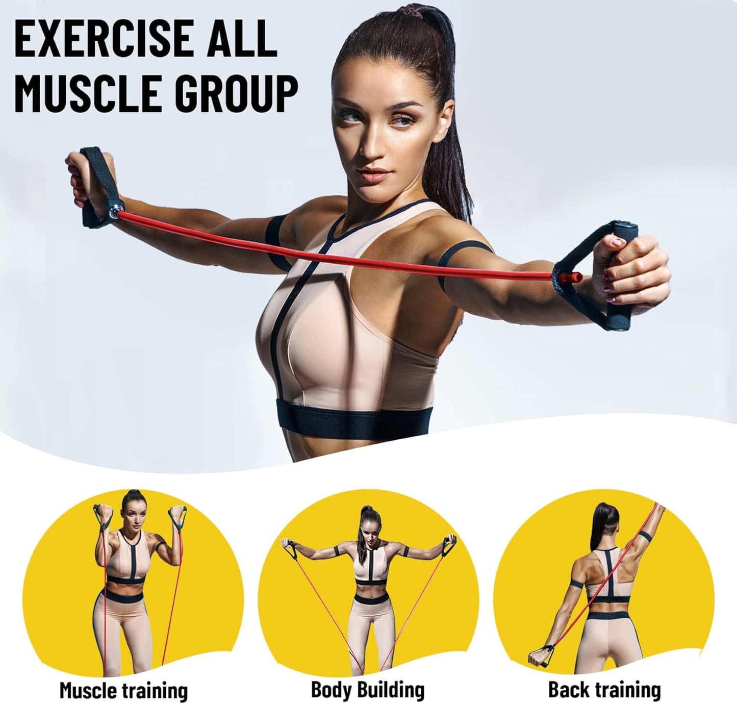 Resistance Bands / Mobility Bands