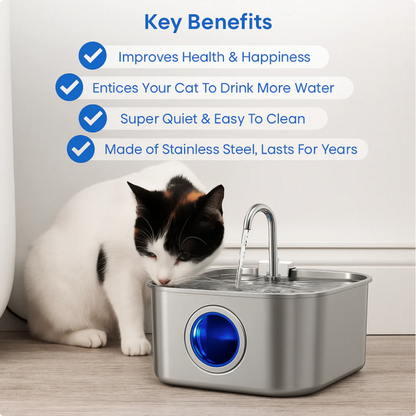 Portable Water Purification